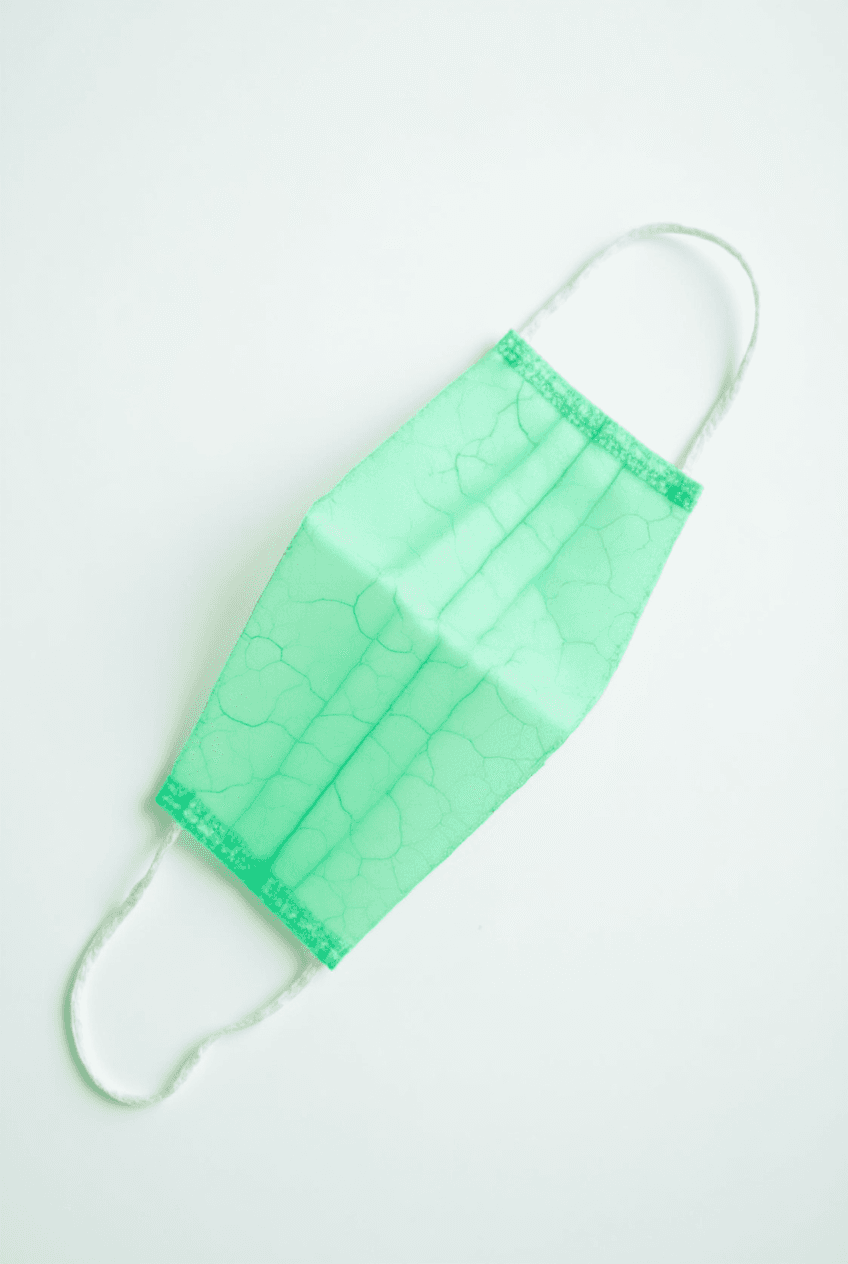 Polyflora — photo 9