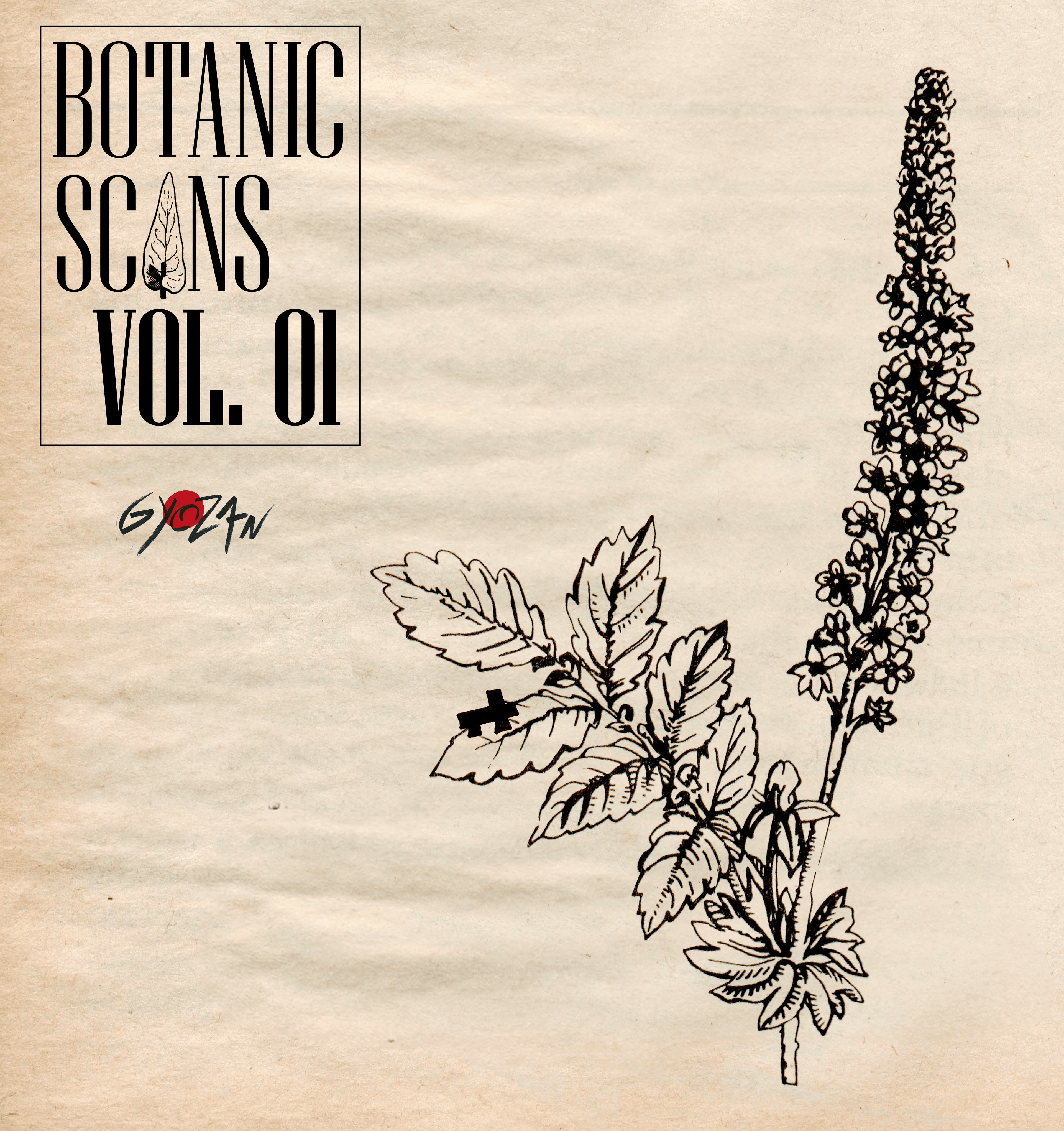 Botanic Scans — photo 2